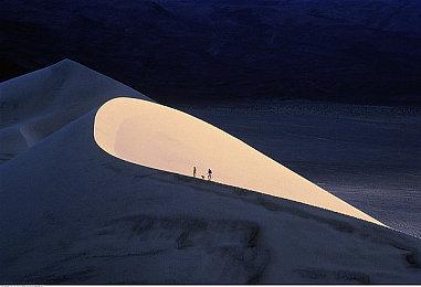 《堡垒之夜》携手《忍者神龟》全新肉鸽模式现已上线